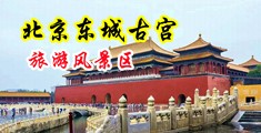 丝袜美女后入式动态图中国北京-东城古宫旅游风景区